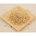 Oats Rice Wheat